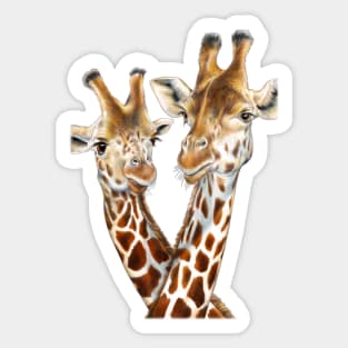 Giraffes Sticker